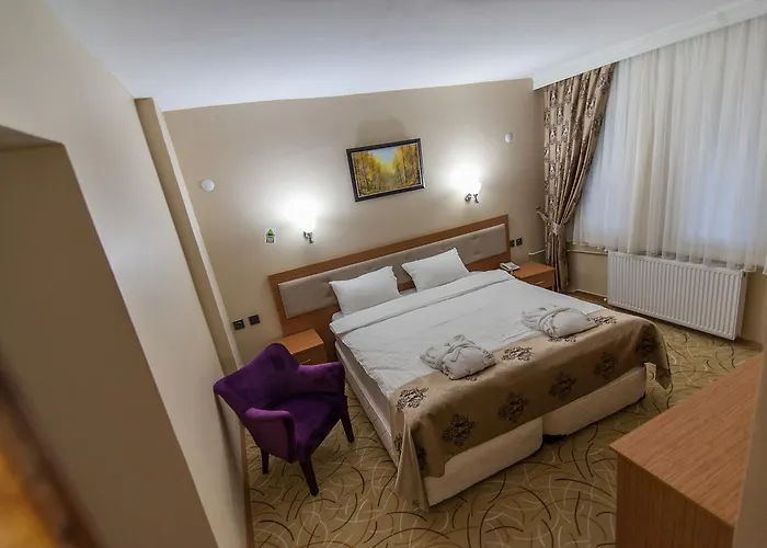 Sahi̇b Ata Termal 4*