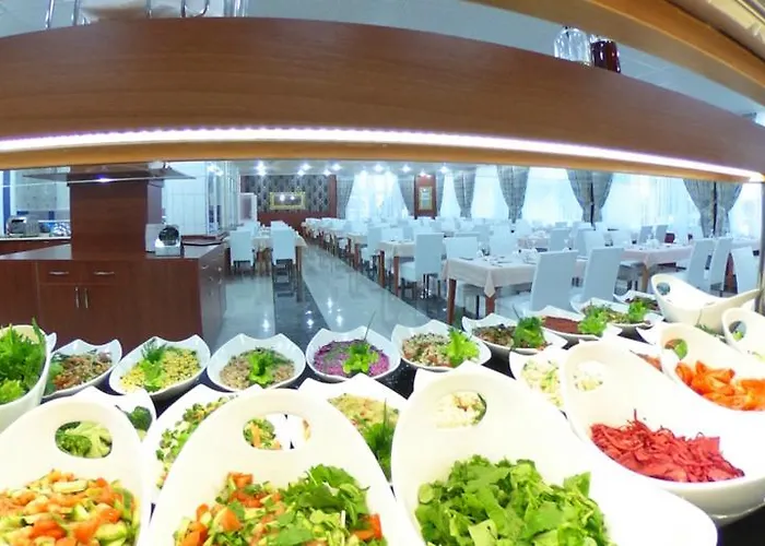 Sahi̇b Ata Termal فندق