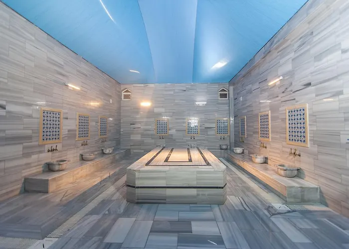 Sahi̇b Ata Termal 4* إيلغين